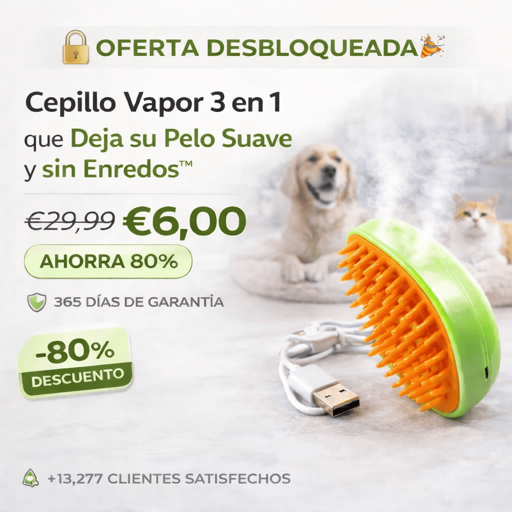 Cepillo Vapor 3 en 1