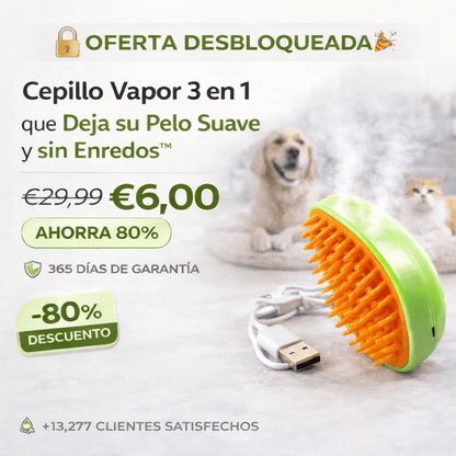 Cepillo Vapor 3 en 1