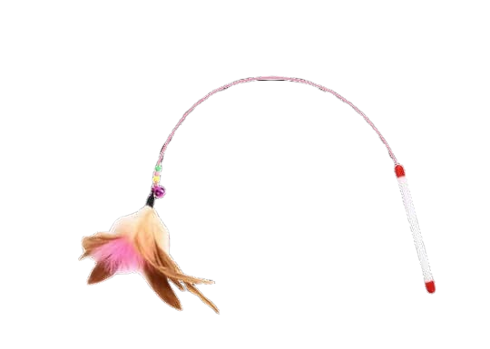 2 Cat toys