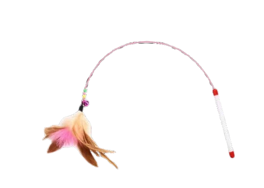 2 Cat toys